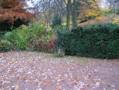 2008_Wiesbaden_park_01.jpg