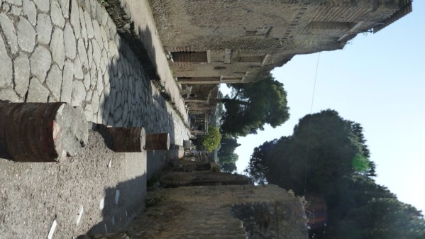 1204_herculaneum_116.jpg